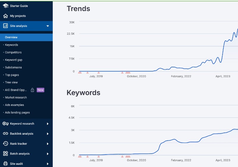 Graph showing traffic growing up to 28,000/month
